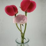 Peonies