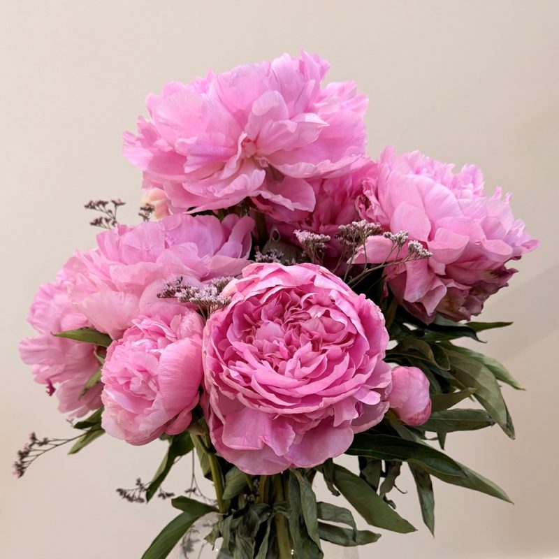 Peonies